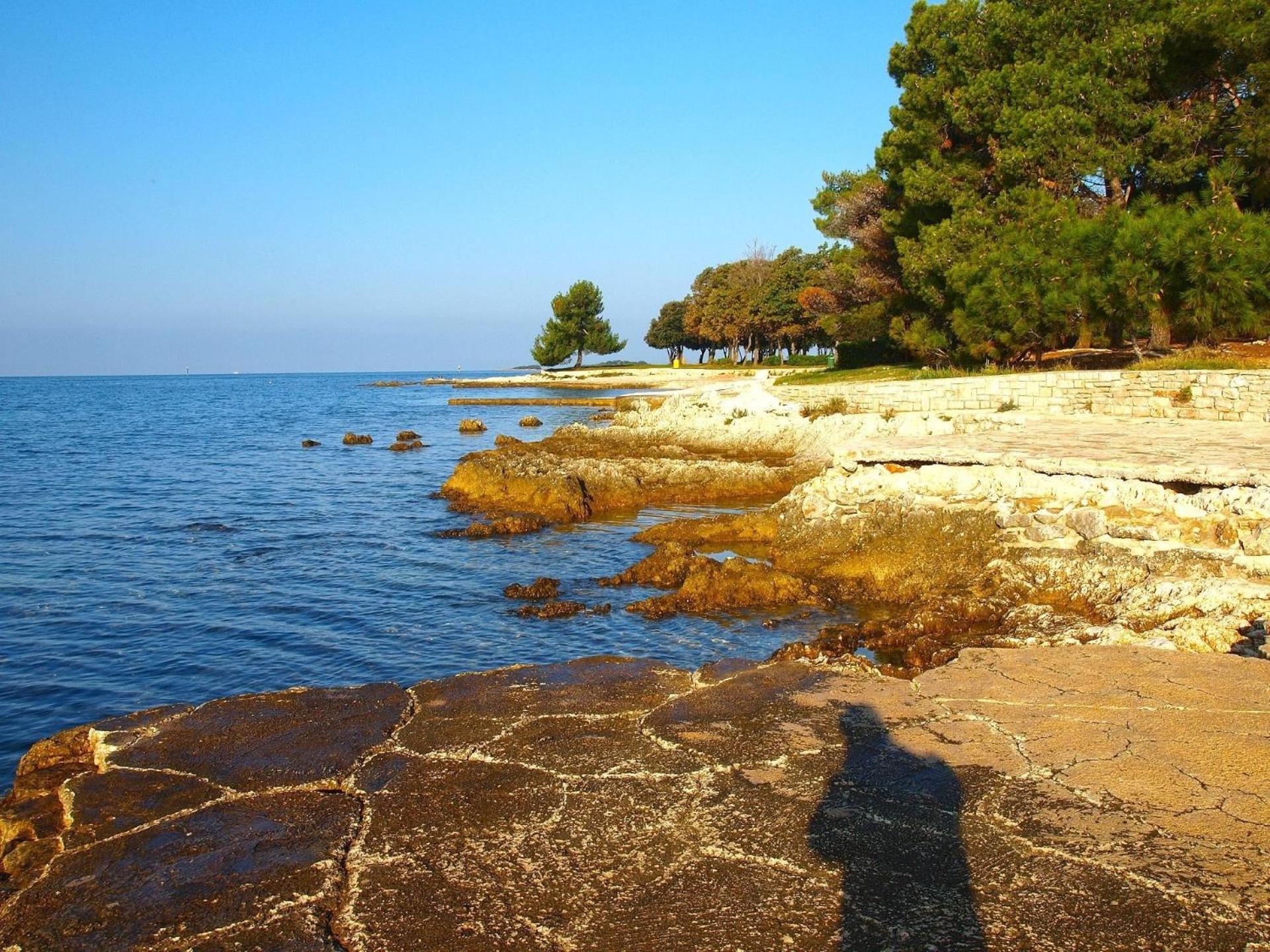 Fuer 3 Personen Ca 48 Qm In Cervar-porat, Istrien Istrische Riviera * Porec